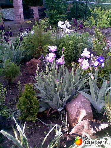 9 ����: ��� �����