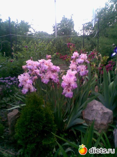 11 ����: ��� �����