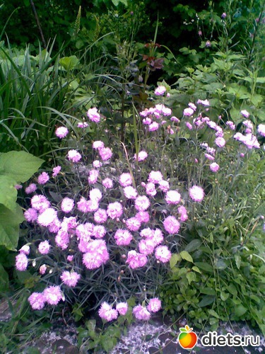 14 ����: ��� �����