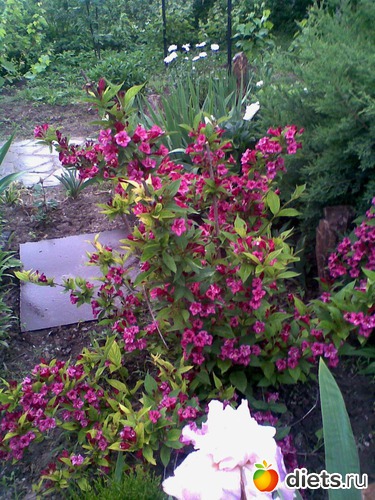 15 ����: ��� �����