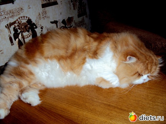 5 ����: ��� �����