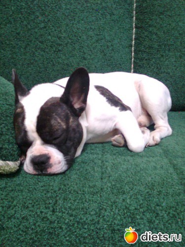 6 ����: ��� �����