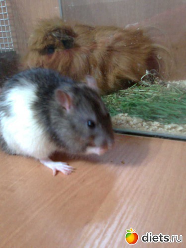 7 ����: ��� �����