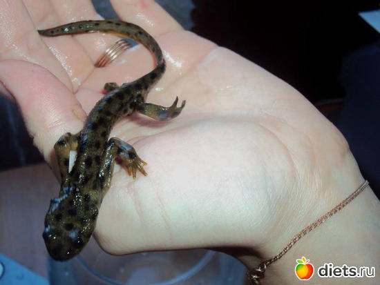 8 ����: ��� �����