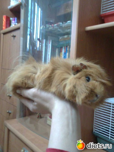 9 ����: ��� �����