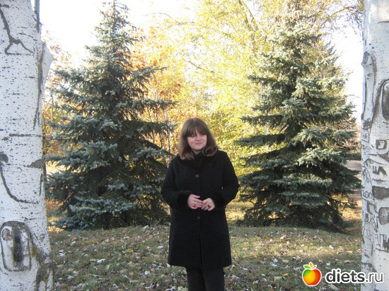 2010...81, ������: �� �