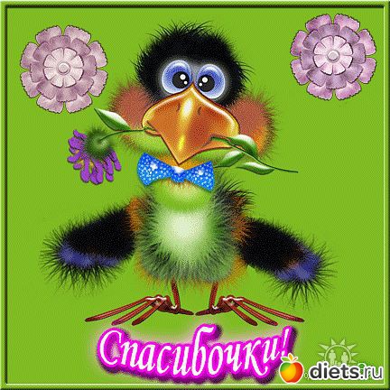 Поздравления (на все случаи жизни)!!!