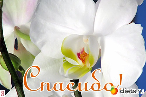 Поздравления (на все случаи жизни)!!!