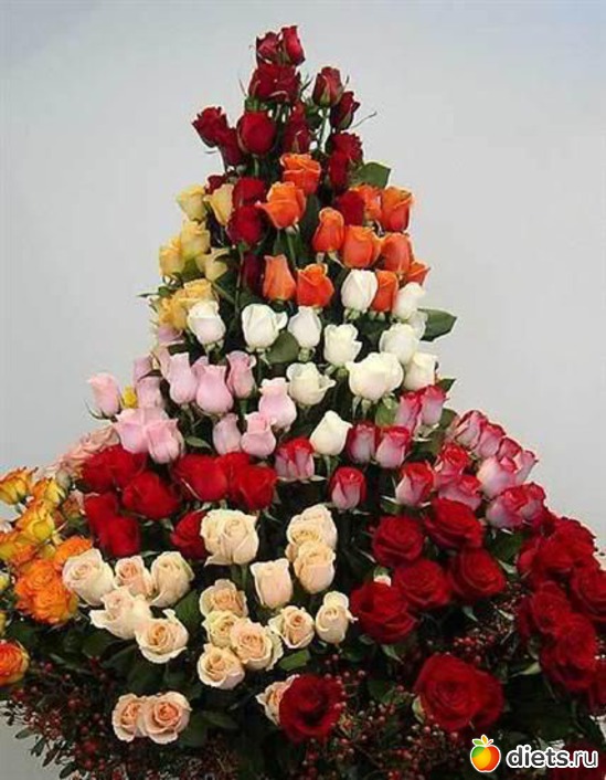 11 ����: ����� ���� ������ � ���� ��������)))