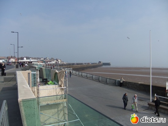 2 ����: ������ �������� ����� 2011