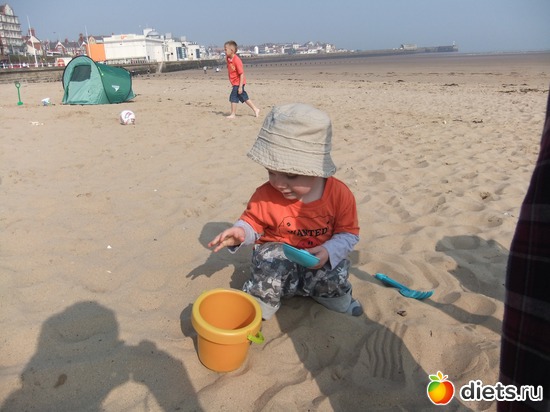 6 ����: ������ �������� ����� 2011