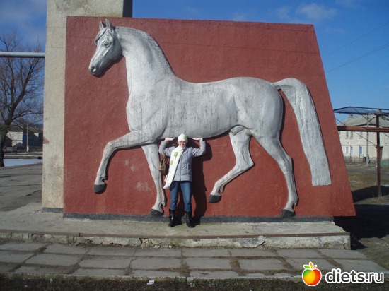 Я держу коня