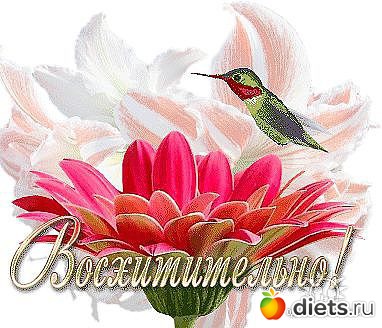 Поздравления (на все случаи жизни)!!!