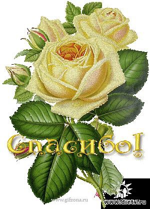 Поздравления (на все случаи жизни)!!!