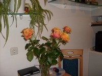 ��� ��������� ����...