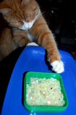 Придумаем название ролику?