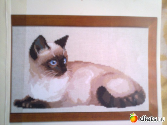 сиамка, альбом: моя вышивка))