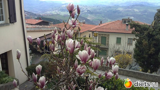 1 ����: raznoe