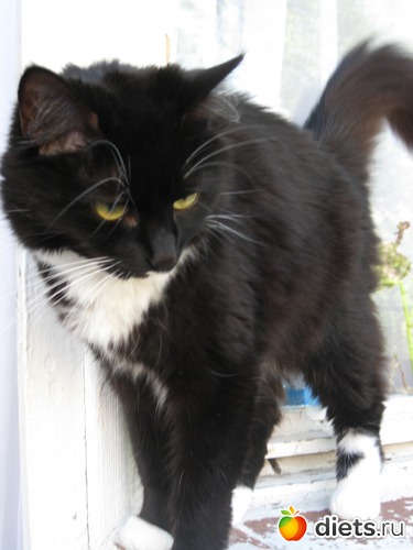 ��� ������, ������: �� ������� ...�  �