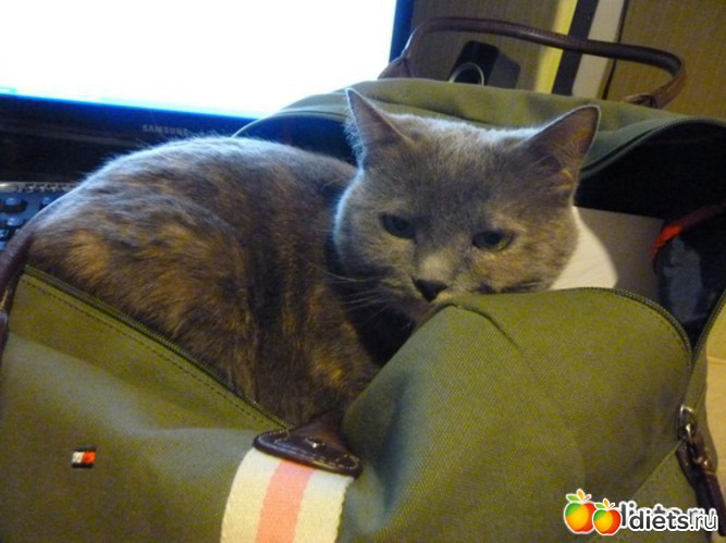 1 ����: ������