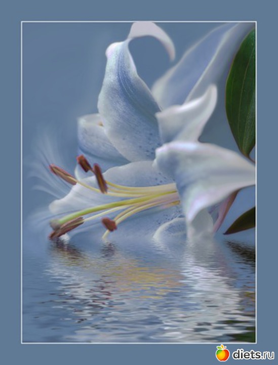 31 фото: Поздравления (на все случаи жизни)!!!