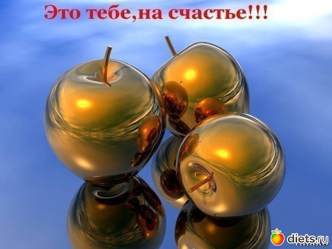 2 ����: ��������