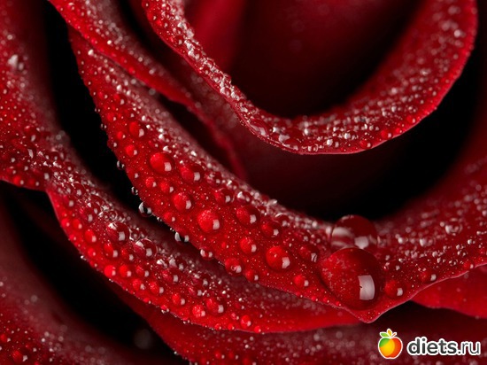 7 ����: ��������