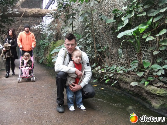 1 ����: Chester Zoo