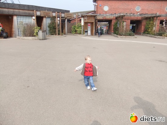 3 ����: Chester Zoo