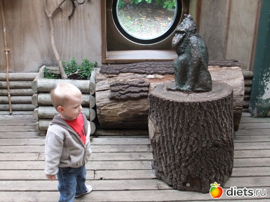 4 ����: Chester Zoo