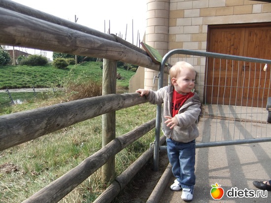 5 ����: Chester Zoo