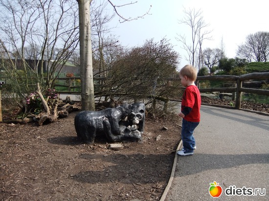 7 ����: Chester Zoo
