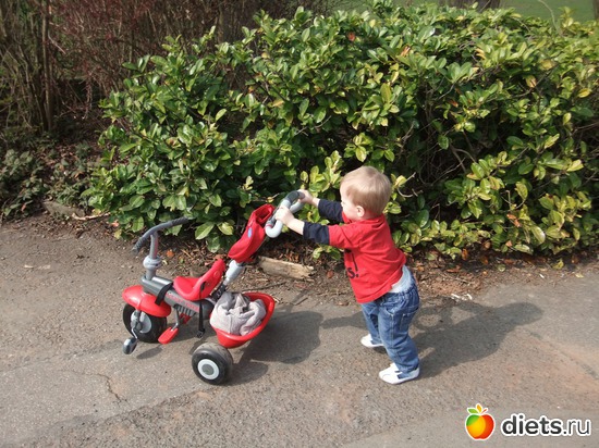 9 ����: Chester Zoo