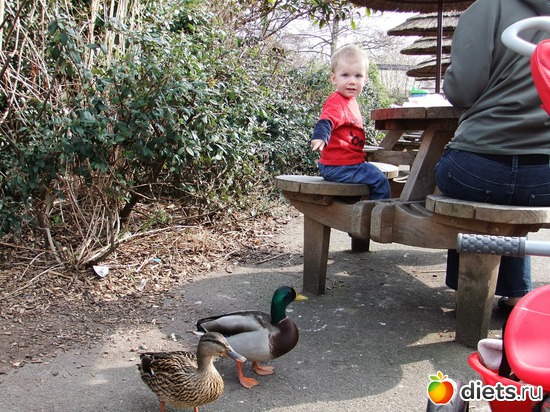 10 ����: Chester Zoo