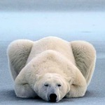 Предпоследний день марта