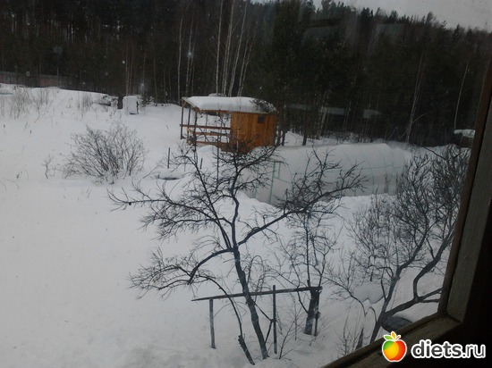 1 ����: "����� ������"