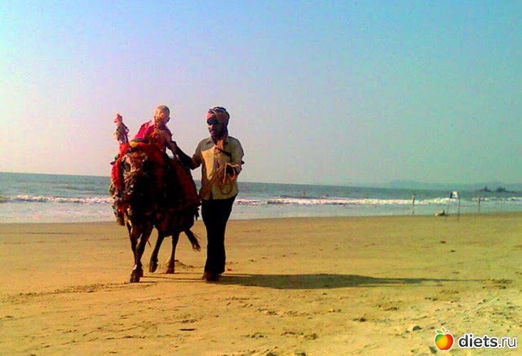 ��� ��� �� ����� ����� ����� �����. ����� ��������������� � �� ��� ������ �����, ������: �����, ���