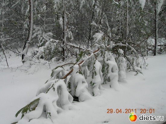 3 ����: ������� �������