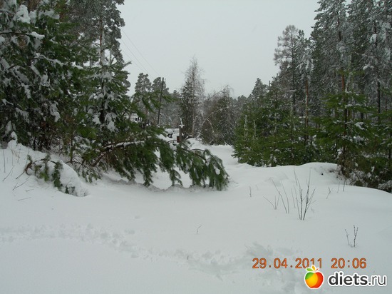 4 ����: ������� �������