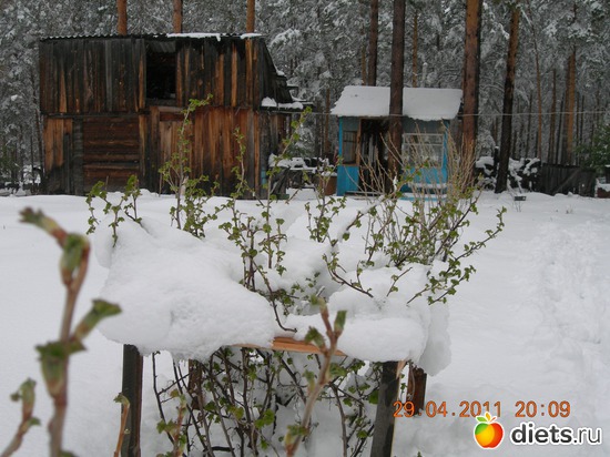 5 ����: ������� �������