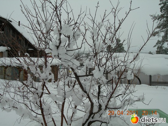 7 ����: ������� �������