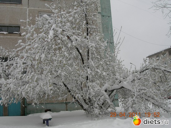 1 ����: ������� �������