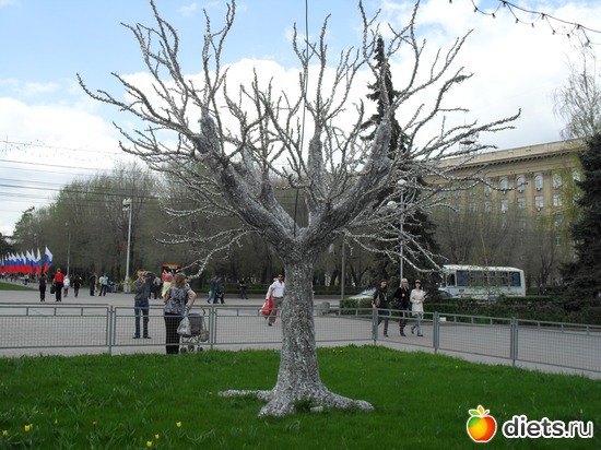 2 ����: 1 ���.