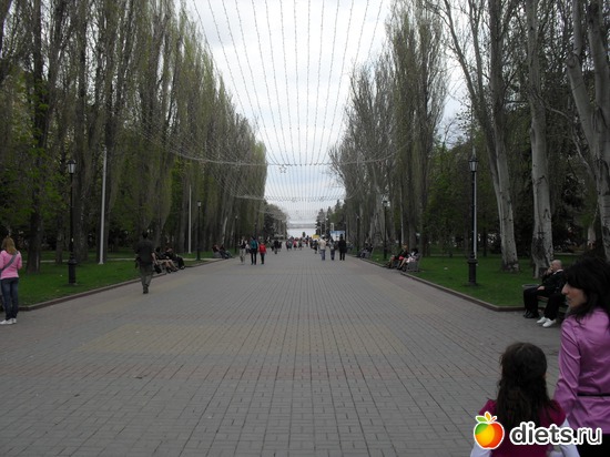 3 ����: 1 ���.