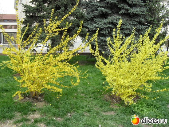 13 ����: 1 ���.