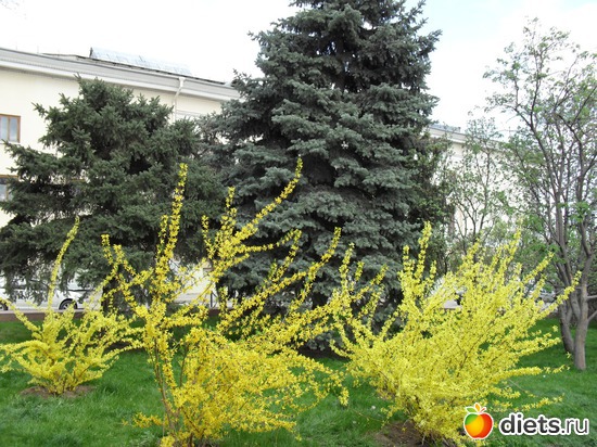 14 ����: 1 ���.