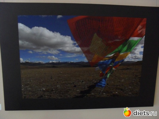 17 ����: 1 ���.