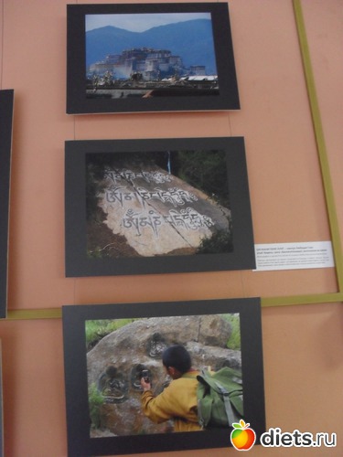 22 ����: 1 ���.