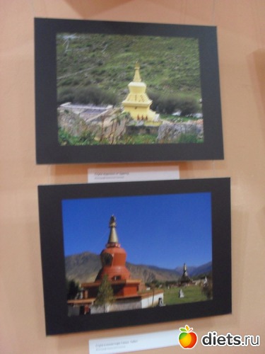 42 ����: 1 ���.