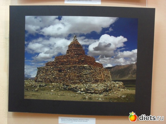 43 ����: 1 ���.